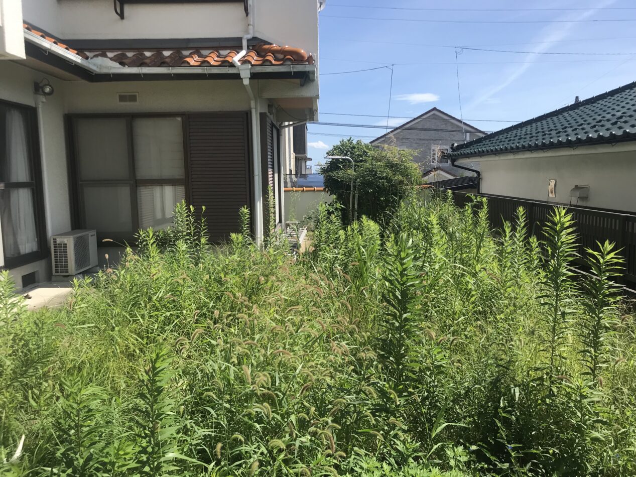②仙台市太白区緑ヶ丘の空き家の剪定前の写真です。