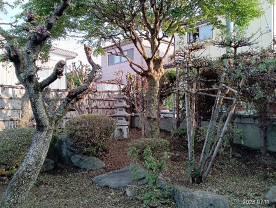 多賀城伝上山12