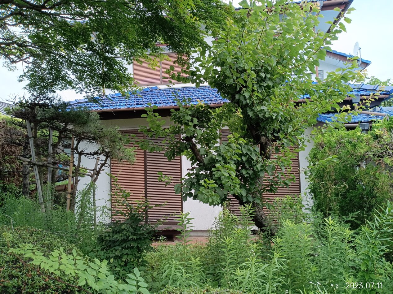 多賀城伝上山②